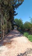 Top Oulad Mazoug
