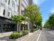 Odysis Sapporo Odori Koen Hotel