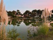 Casa do Ourives - Renewed