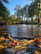 Top Saint-Ciers-sur-Bonnieure