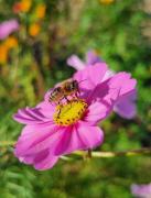 Top Saint-Ciers-sur-Bonnieure