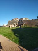 Top Savona Top Savona