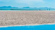 Top Alcudia