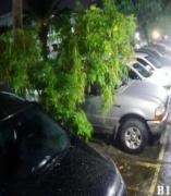 Apartamento em condomínio nas Dunas