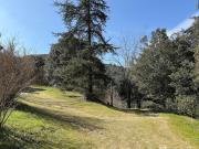 Top Notre-Dame-de-la-Rouvière