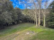 Top Notre-Dame-de-la-Rouvière