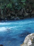 Top Rio Celeste