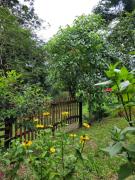 Top Conceição do Mato Dentro