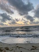 Top Placencia Top Placencia