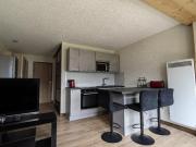 Studio confortable à Châtel avec WiFi et parking couvert - FR-1-676-215