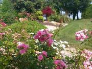 Top Neuville-de-Poitou