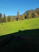 Top Alpbach