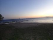 Top Lardos Top Lardos