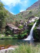 Top Passos Top Passos