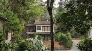 Top Vythiri