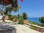 Blue Fox 1 Blue Fox 1