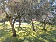 Studio sous les pins - 400m de la plage dePornichet