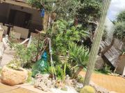 Top San Pietro in Bevagna