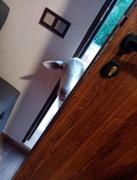 Top Chiclana de la Frontera