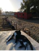 Top Chiclana de la Frontera