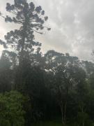 Alvorada de Maringá