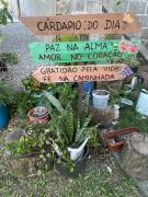 Top Pântano Grande