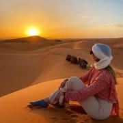 Desert Nomads Camp