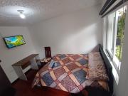 Top Ibarra