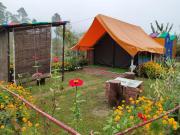 Top Almora
