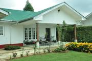 The Olivine Villa