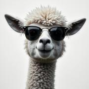 Finca Exclusiv LA MAreta