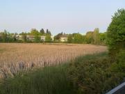 Top Valdivia Top Valdivia