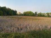 Top Valdivia Top Valdivia