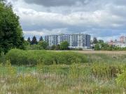 Top Valdivia Top Valdivia