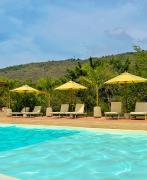 Trip Monkey del Río