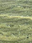 Pé na Areia Beach House