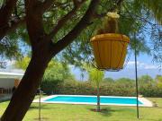 Cepas del Valle - cabañas y suites