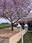 Casa Rural Explora, Pastores