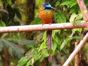 Top Chapada dos Guimarães