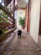 Top Puerto Escondido