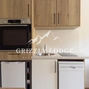 Grizzly Lodge - appartement duplex sur les pistes