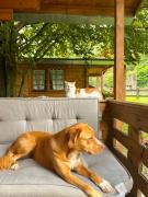 Agriturismo La Vecchia Chioderia