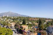 Top Marbella