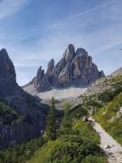 Top Candide Top Candide