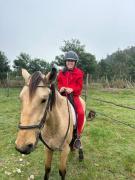 Top Suurbraak