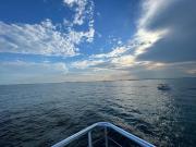 Catamarán Bote Barco TOUR ISLA MUJERES