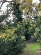 Top Saint-Médard-en-Jalles