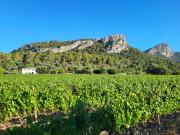 La Gerreria - Vallem Properties