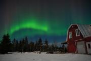 Top Whitehorse