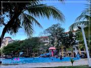 Top Bandar Penawar